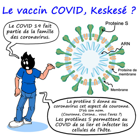 vaccin1